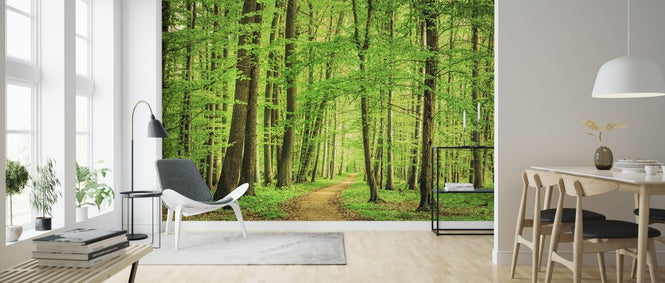 PHOTOWALL / Green Forest in Spring (e316054)