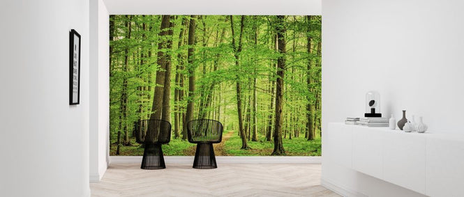 PHOTOWALL / Green Forest in Spring (e316054)