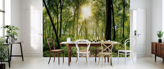 PHOTOWALL / Forest (e316064)