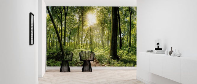 PHOTOWALL / Forest (e316064)