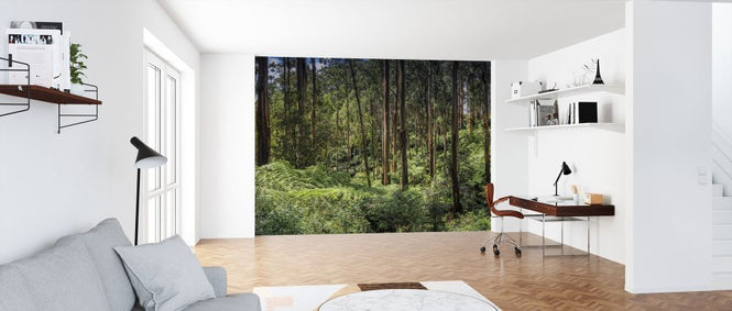 PHOTOWALL / Mountain Ash Forest (e316097)
