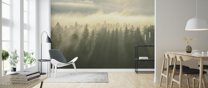 PHOTOWALL / Wooded Mountans Fog (e316100)
