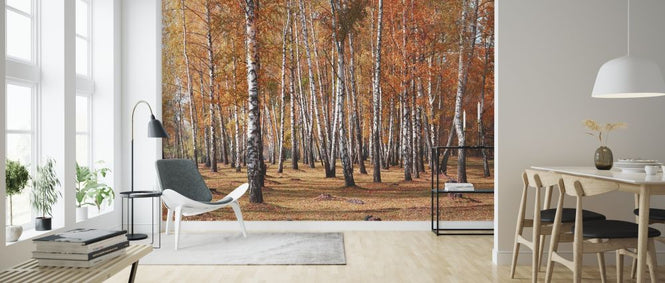 PHOTOWALL / White Birches Trees (e316116)