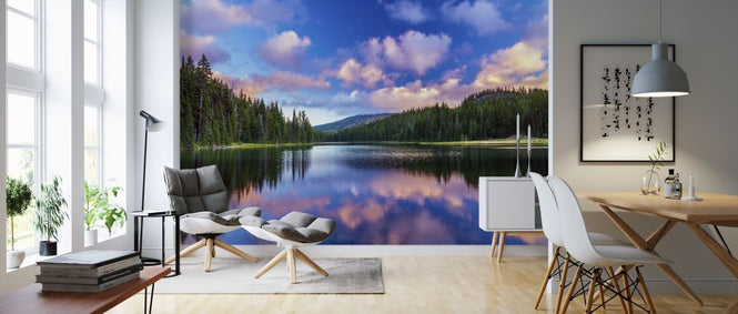 PHOTOWALL / Todd Lake Bend (e316126)