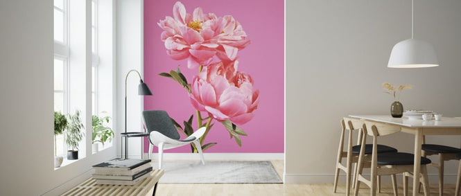 PHOTOWALL / Pink Peonies (e316127)