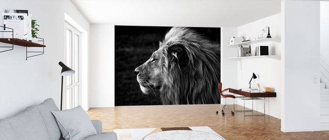 PHOTOWALL / Lion (e316477)