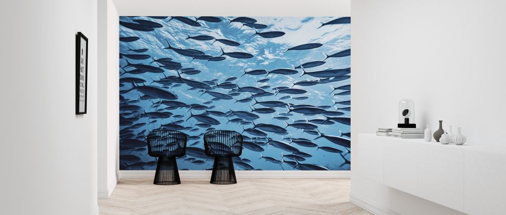 Zoom
