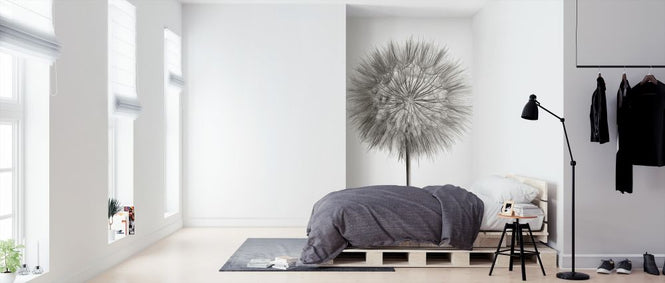 PHOTOWALL / Dandelion Fluff on White (e316196)