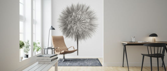 PHOTOWALL / Dandelion Fluff on White (e316196)