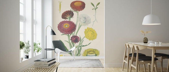 PHOTOWALL / Antique Botanical (e316429)