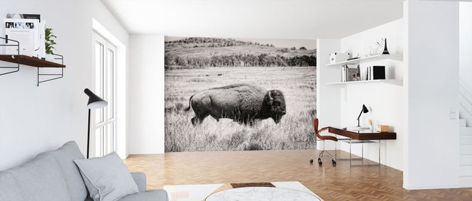 PHOTOWALL / Buffalo (e316432)