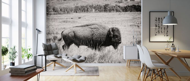 PHOTOWALL / Buffalo (e316432)
