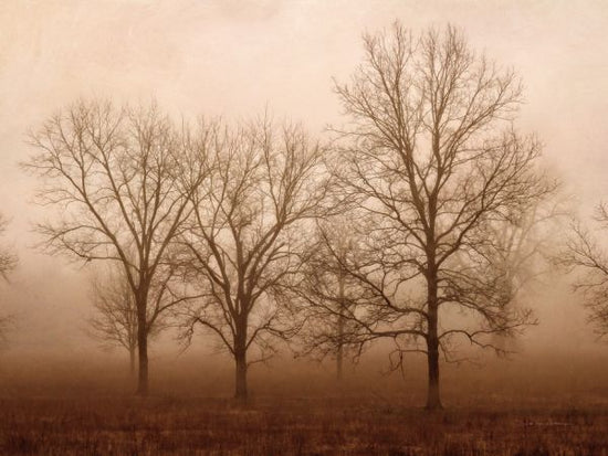 PHOTOWALL / Morning Calm II (e316434)