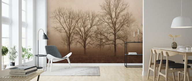 PHOTOWALL / Morning Calm II (e316434)