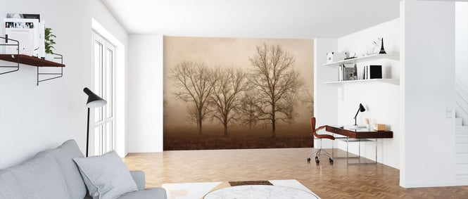 PHOTOWALL / Morning Calm II (e316434)