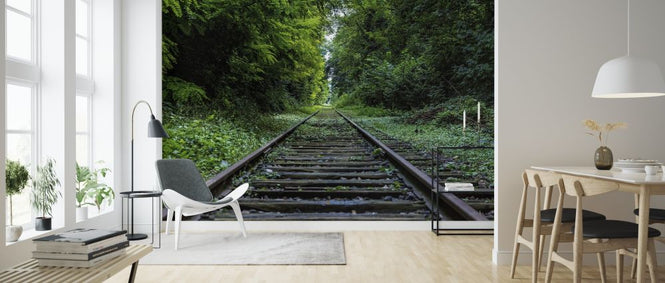 PHOTOWALL / Abandoned Forest (e316202)