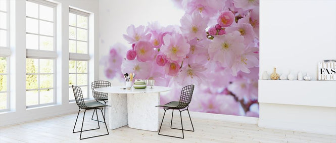 PHOTOWALL / Blossom Cherry Blossom (e316212)