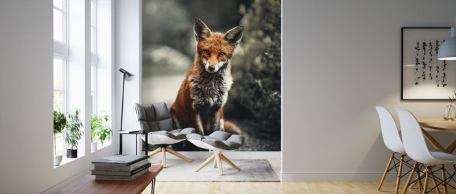 PHOTOWALL / Fox Study (e316225)
