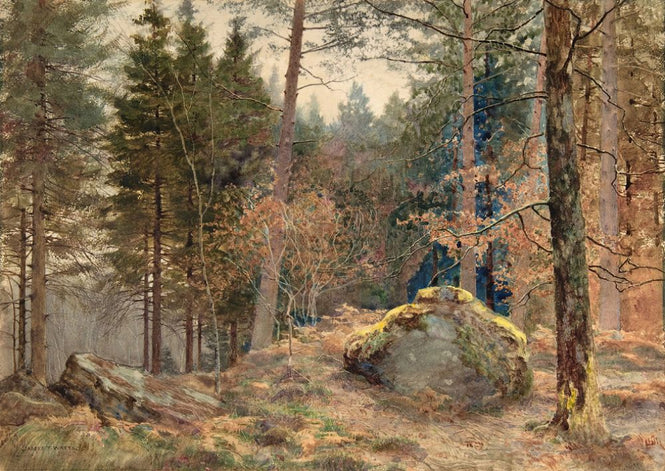PHOTOWALL / Pine Woods - James Thomas Watts (e316920)