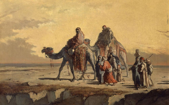 PHOTOWALL / Desert Scene - Francisco Lameyer (e316931)