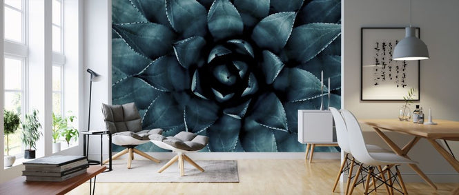 PHOTOWALL / Cactus No 9 (e316848)