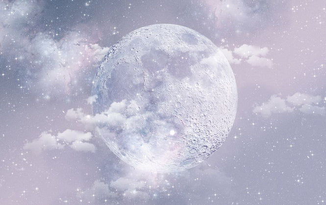 PHOTOWALL / Moon (e317160)