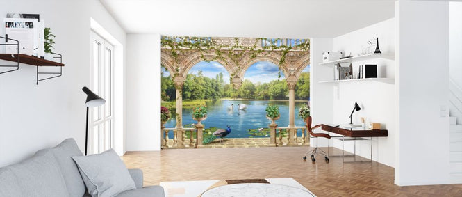 PHOTOWALL / Swans in Park (e317406)