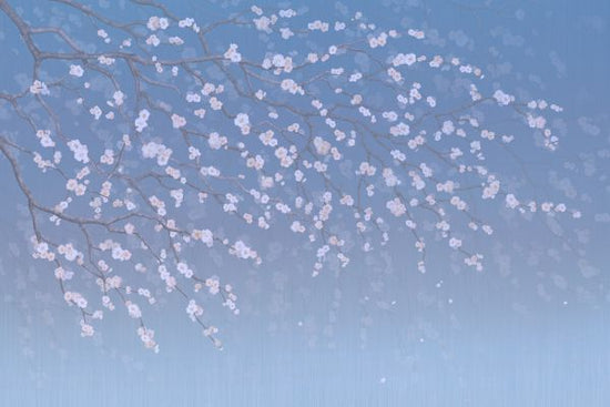 PHOTOWALL / Sakura - Cobalt (e317754)