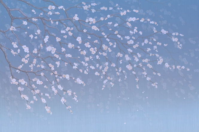 PHOTOWALL / Sakura - Cobalt (e317754)