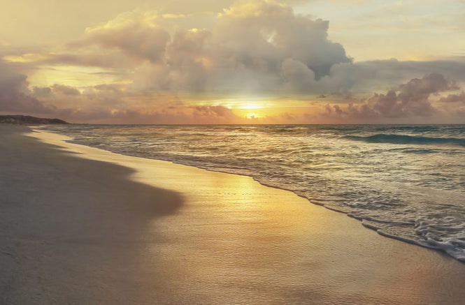 PHOTOWALL / Sunrise Shore (e318008)