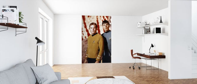 PHOTOWALL / Kirk and Spock - Leonard Nimoy and William Shatner (e317208)