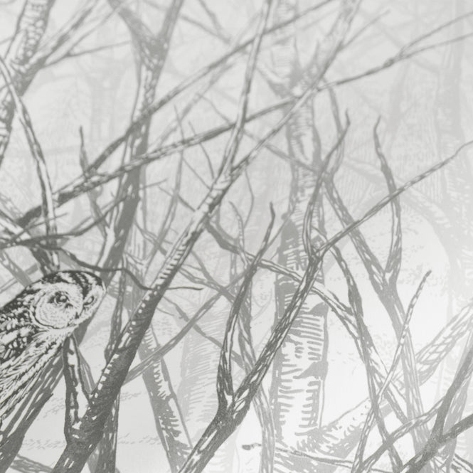 Isidore Leroy / NATURELS / FORET ENCHANTEE Gris 6241604 【Aセット(3パネル)】