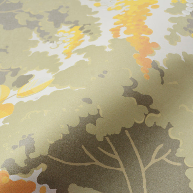 Isidore Leroy / NATURELS / FRONDAISONS Ensoleille 6241712