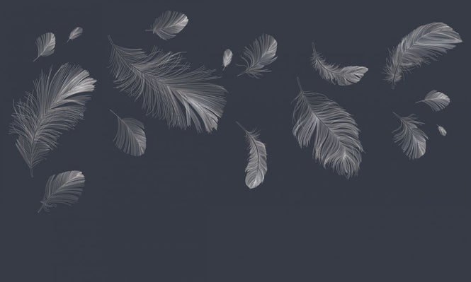PHOTOWALL / Flying Feathers - Dark Blue (e318452)