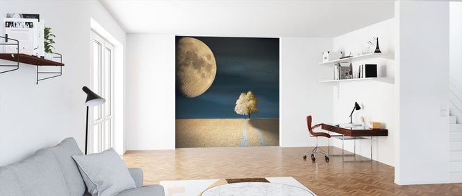 PHOTOWALL / GMO (e317811)