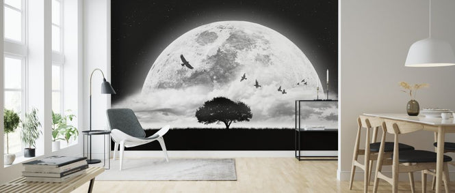 PHOTOWALL / Dream (e317821)