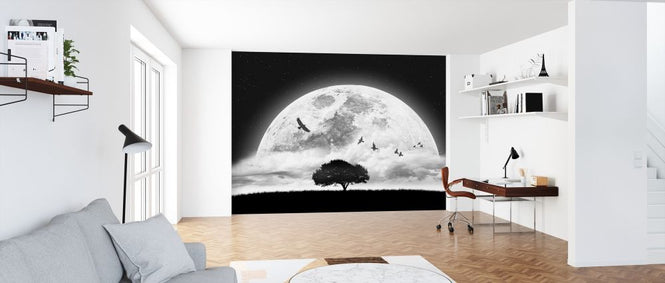 PHOTOWALL / Dream (e317821)