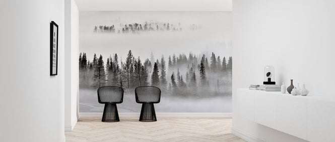 PHOTOWALL / Foggy Forest (e317621)