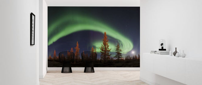 PHOTOWALL / Northern Lights (e317627)