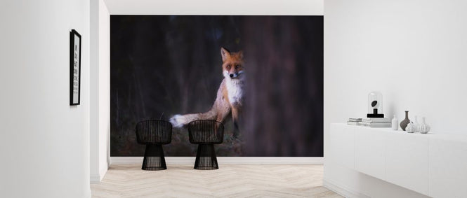 PHOTOWALL / Glances (e317636)