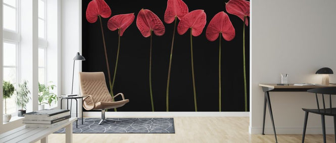 PHOTOWALL / Botanical Hearts (e317771)