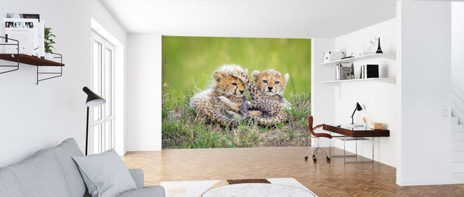PHOTOWALL / Promising (e317795)