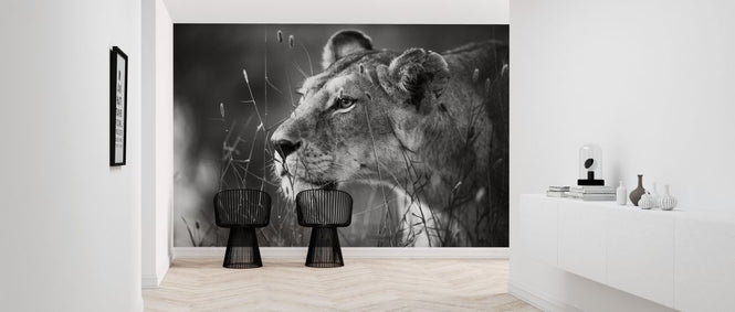 PHOTOWALL / Lioness (e317799)