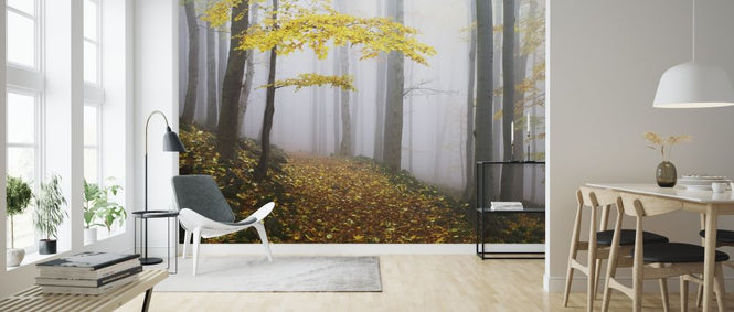 PHOTOWALL / Autumn Forest (e317575)