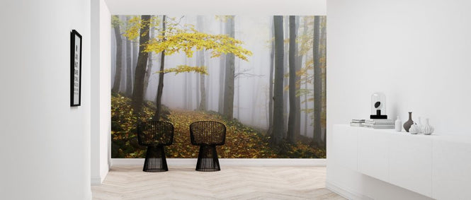 PHOTOWALL / Autumn Forest (e317575)