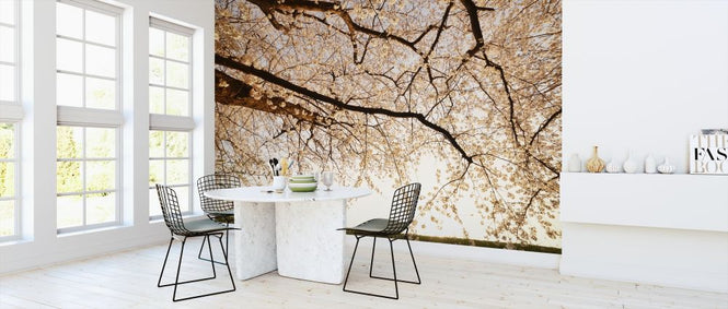 PHOTOWALL / Way Back (e317580)