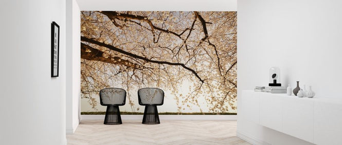 PHOTOWALL / Way Back (e317580)