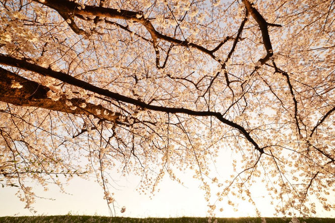 PHOTOWALL / Way Back (e317580)