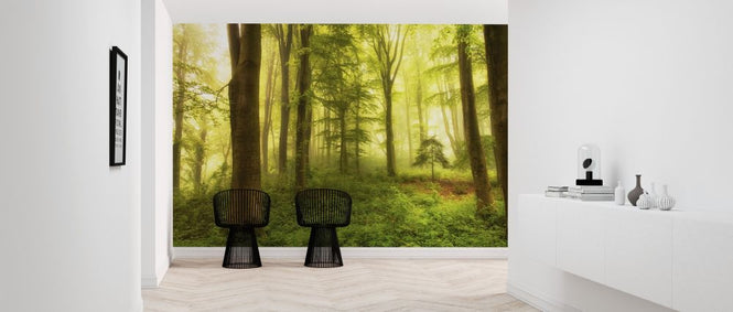 PHOTOWALL / Little Tree (e317588)