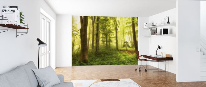 PHOTOWALL / Little Tree (e317588)